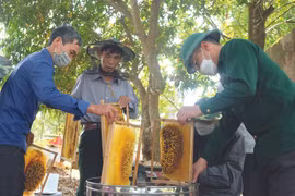 Un vétéran de guerre fait fortune grâce à l’apiculture