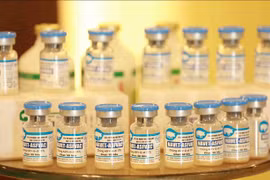 Un journal français loue la mise au point par le Vietnam d'un vaccin contre la PPA