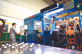 Les investissements directs étrangers contribuent à la restructuration économique