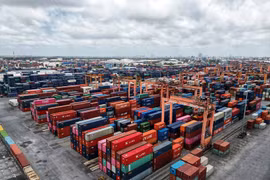 De nombreuses entreprises européennes sont optimistes quant à l'économie vietnamienne à court et à long termes. Photo:Vietnamplus