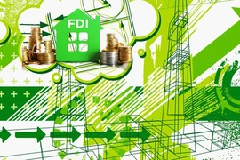 Le Vietnam attire de plus en plus d'« IDE verts »