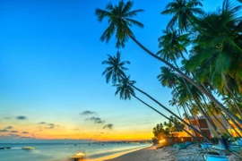 Le Vietnam est une excellente destination après la pandémie de COVID-19, selon un magazine américain