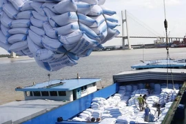 Les exportations du riz vietnamien dépasseront l'objectif annuel