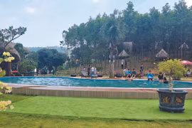 Quand écotourisme rime avec forêts