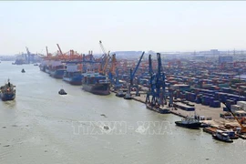 Hausse du fret transitant par les ports maritimes du Vietnam au cours des dix premiers mois