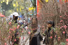 Ouverture du marché aux fleurs de Hang Luoc en 2023