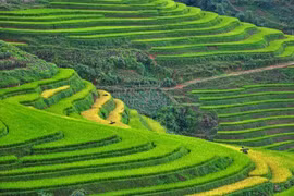 Sa Pa et Ninh Binh dans le top des destinations les plus attrayantes en Asie