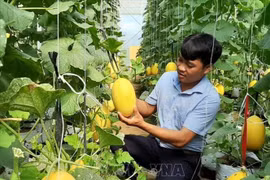 Ninh Thuan: Près de 730 milliards de dôngs pour la réduction durable de la pauvreté