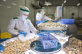 5 mois: le déficit commercial du Vietnam avec de nombreux grands marchés en forte chute