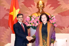 Les relations Vietnam – Inde en développement fructueux