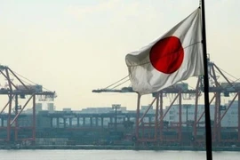 Le Vietnam participe à une conférence sur l’Afrique au Japon
