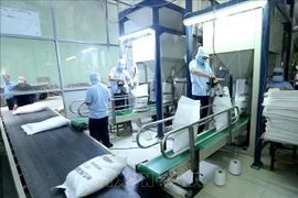 Le Vietnam suspend ses exportations de riz pour garantir la sécurité alimentaire face à COVID-19
