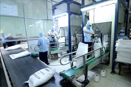 Le Vietnam suspend ses exportations de riz pour garantir la sécurité alimentaire face à COVID-19