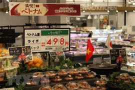 Des produits vietnamiens présentés dans les supermarchés AEON au Japon