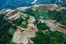 Rizières en terrasse à Ha Giang à la saison de leur mise en eau