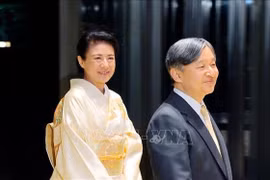 Rencontre entre le PM vietnamien, des dirigeants d’autres pays de l'ASEAN et l'empereur et l'impératrice du Japon