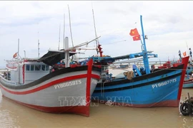 Pêche INN: Ba Ria-Vung Tau s'efforce de supprimer le "carton jaune" de la CE 