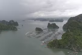 La beauté sauvage de la baie de Bai Tu Long
