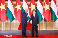 Dans l'après-midi du 28 mai 2025, à Hanoï, le président de l'Assemblée nationale du Vietnam, Tran Thanh Man (à droite) rencontre le président hongrois Sulyok Tamas en visite officielle au Vietnam. Photo : VNA