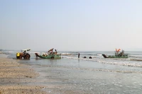 Nghê An : la haute saison du crabe stimule l’économie locale