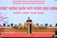 Le Premier ministre Pham Minh Chinh s'exprime. Photo: VNA