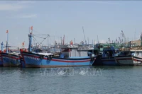 Des bateaux de pêche sont ancrés au port de pêche du quartier de Quy Nhon, province de Gia Lai. Photo: VNA