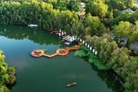 Les passerelles de bois sinueuses se reflètent sur l’immensité tranquille de l’eau. Photo: baoquocte.vn