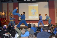 Le vovinam séduit par sa simplicité, son application rapide et son élégance. Photo: VNA