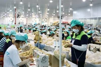 Le salaire minimum des travailleurs sous contrat augmentera également en vertu du décret n°293/2025/ND-CP. Photo d'illustration: VNA