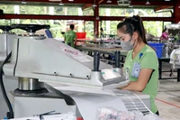 Les entreprises privées contribuent à la croissance économique, créent des emplois, contribuent au budget national et promeuvent l'innovation. Photo : VNA