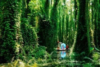 Touristes visitant la Zone touristique de Xeo Quyt, à Dông Thap. Photo: VnExpress