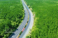 Avec un parcours "touchant la mer et traversant la forêt" et la participation de partenaires de mobilité verte tels que VinFast et Xanh SM, le VnExpress Marathon Green Paradise Cân Gio est la course présentant le parcours le plus écologique du système VnExpress Marathon. Photo : VNA