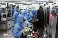 Ligne de production de modules de caméra et de composants électroniques dans l'usine de MCNEX VINA Co. Ltd, une entreprise à capitaux sud-coréens située dans le parc industriel de Phuc Son, province de Ninh Binh. Photo : VNA