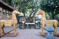 Figure symbolique de la vitalité, de la persévérance et de l’aspiration à la conquête, le cheval devient un point de rencontre culturel singulier entre l’univers des Hauts Plateaux du Centre et la cité impériale de Thang Long. Photos: Dân tri