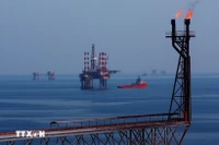 Les plateformes de forage du champ pétrolier Bach Hô. Photo: VNA