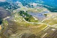 Vue aérienne de rizières en terrasses épousant les flancs de montagne, entre grandeur et poésie. Photo : CTV/CVN