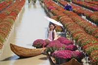 Une touriste se fait prendre des photos au jardin de fleurs de Sa Dec, dans la province de Dông Thap. Photo : VNA