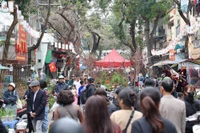 Le marché aux fleurs de Hang Luoc est le plus ancien de Hanoi. Photo: NDEL