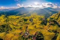 Les rizières de Bat Xat forment un décor naturel parmi les plus impressionnants d'Asie. 