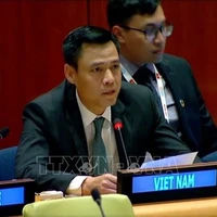 L’ambassadeur Dang Hoang Giang, chef de la Mission permanente du Vietnam auprès de l’ONU. Photo: VNA