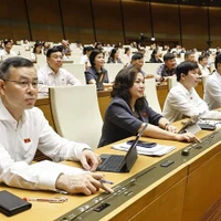 Les députés votent l'adoption de la résolution. Photo : VNA