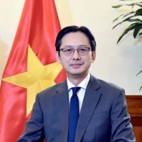 Le vice-ministre des Affaires étrangères, Do Hung Viet. Photo: VNA