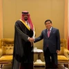 Le vice-Premier ministre Nguyen Chi Dung (à droite) rencontre le ministre saoudien de l’Économie et de la Planification Faisal bin Fadhil Al-Ibrahim, Photo : VNA
