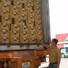 Les durians frais sont conservés dans des boîtes en carton conformes aux normes. Photo : VNA