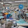 Les textiles et les vêtements constituent l'un des principaux produits d'exportation du Vietnam vers la Russie. Photo : VNA