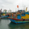 Des navires de pêche non conformes sont organisés pour un stationnement groupé. Photo: VNA