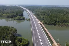 La section de l'autoroute Ben Luc-Long Thanh traversant la mangrove du district de Nhon Trach (province de Dong Nai). (Photo : VNA)