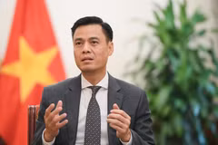 Le vice-ministre des Affaires étrangères Dang Hoang Giang. Photo: ministère des Affaires étrangères