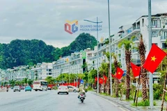 Une section de la rue Tran Quoc Nghien traverse le quartier de Ha Long. Photo : https://dangcongsan.org.vn/