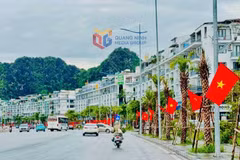 Une section de la rue Tran Quoc Nghien traverse le quartier de Ha Long. Photo : https://dangcongsan.org.vn/